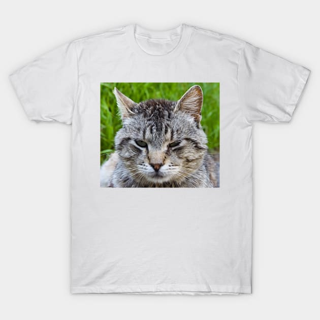 Close-up of a cat's muzzle T-Shirt by EvgeniiV